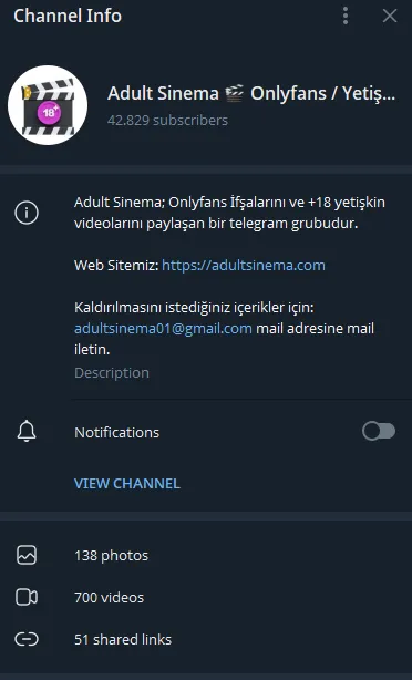 Adult Sinema